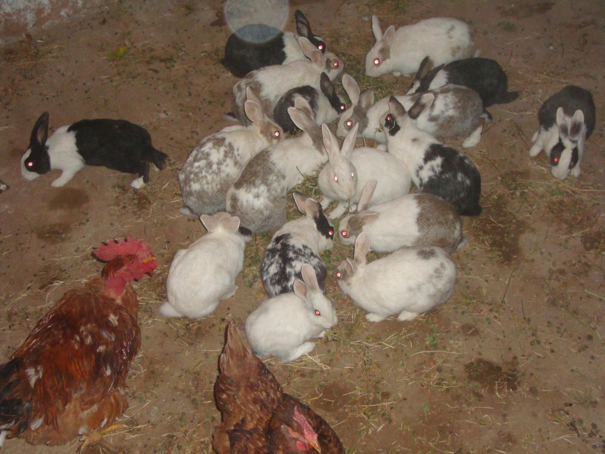 آيت بن حدو Dar Mouna المظهر الخارجي الصورة